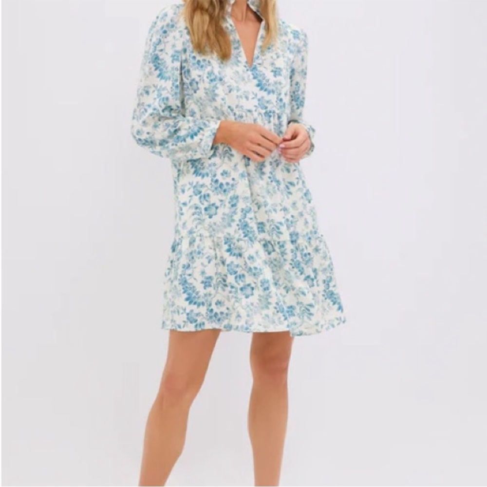 Tuckernuck Jardin De Fleurs Crinkle Palmerston Dress